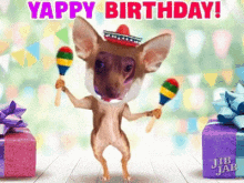 Happy Birthday Chihuahua GIF - Happy Birthday Chihuahua Luv GIFs