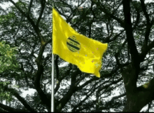 sndp kerala flag india