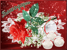 a greeting card with a red rose and white cupcakes that say raffaello on them