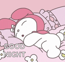 a hello kitty sleeping on a pink pillow with the words good night written below it