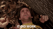 It Did Work It Worked GIF - It Did Work It Worked It Functions GIFs