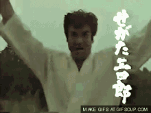 Segata Sanshiro GIF - Segata Sanshiro Karate GIFs