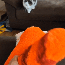 Cat Attack Cat GIF - Cat Attack Cat Cat Hug GIFs