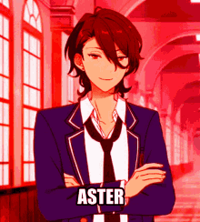 Aster GIF - Aster GIFs