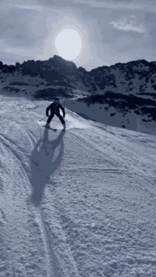 Tout Schuss Ski GIF - Tout Schuss Ski Skiing GIFs