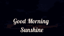 Sun Sunshine GIF - Sun Sunshine Ocean GIFs
