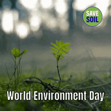 World Environment Day Save Soil GIF - World Environment Day Environment Day Save Soil GIFs