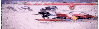 a group of people are rowing a boat on a lake .