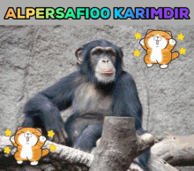 Alper Alpersafi GIF - Alper Alpersafi Alpersafi00 GIFs