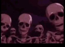 Skull Skull Crowd GIF - Skull Skull Crowd Skull Reaction GIFs