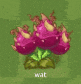 a cartoon drawing of a plant with the word wat on the bottom