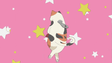 a calico cat with a can opener on its back