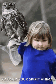 a little girl is holding an owl on her shoulder and says `` you and your spirit animal '' .