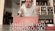 What Are You Doing Mouse Flip GIF - What Are You Doing Mouse What Are You Doing Flip GIFs
