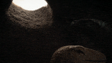 a close up of a dinosaur 's head in the dark