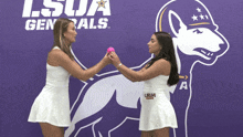 two women holding a pink ball in front of a lsua logo