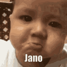 Jano GIF - Jano GIFs