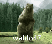 Waldo47 Bear GIF - Waldo47 Bear Dance GIFs