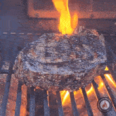 Grilling Meat Smoked Reb Bbq GIF - Grilling Meat Smoked Reb Bbq Cooking Meat GIFs