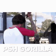 Psh Gorilla Fix Hair GIF - Psh Gorilla Fix Hair Mirror GIFs