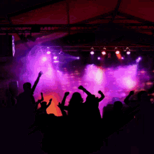 a crowd of people dancing in front of purple lights