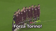 Torino Forza Squadra Calcio Uniti GIF