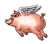 terbang babi