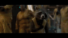 Me Too, I Am Also With Them GIF - Rocket Raccoon Im With Them Guardians Of The Galaxy GIFs