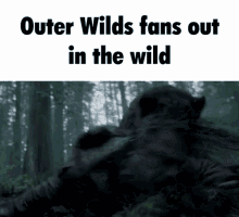 Outer Wilds Fans GIF - Outer Wilds Fans Out In The Wild GIFs