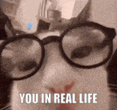 a cat wearing glasses with the words you in real life above it