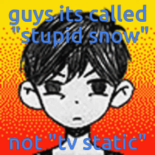 Stupid Snow Snow GIF - Stupid Snow Snow Static GIFs