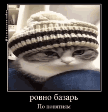 Comaru Cat GIF - Comaru Cat демотиватор GIFs
