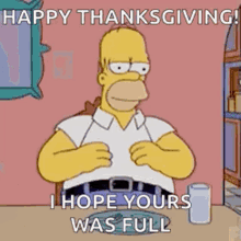 Happy Thanksgiving Turkey Day GIF - Happy Thanksgiving Turkey Day Full GIFs