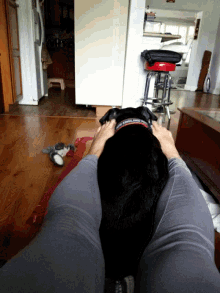 Kodie Massage GIF - Kodie Massage Dog GIFs