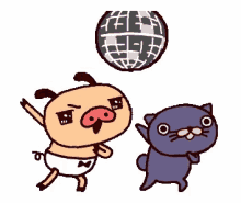 Pig Cat GIF - Pig Cat Disco Ball GIFs