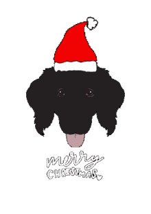 merry christmas happy holidays christmas dog melina bucher