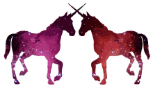 mystical unicorns