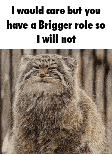 Brigger Msa GIF
