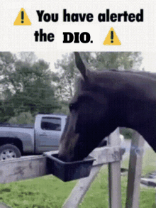 you have alerted the the dio