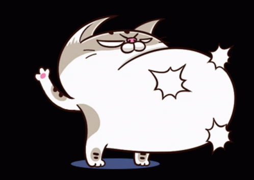 Ami Fat Cat Fgcat GIF – Ami Fat Cat Fgcat Bounce – Ищите GIF-файлы и