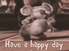 Have A Happy Day Koala GIF - Have A Happy Day Koala Dancing GIFs