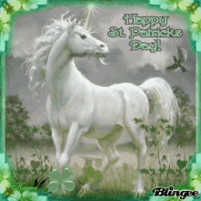 st patricks day happy st patricks day happy saint patricks day saint patricks day horse