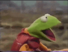Kermit Poggers GIF - Kermit Poggers Pog GIFs