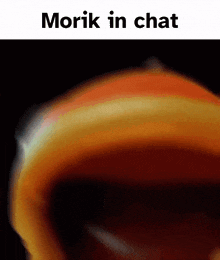 Morik Morik In Chat GIF - Morik Morik In Chat Fishstick GIFs