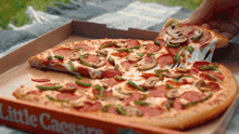 Little Caesars Picnic GIF - Little Caesars Picnic Pizza GIFs