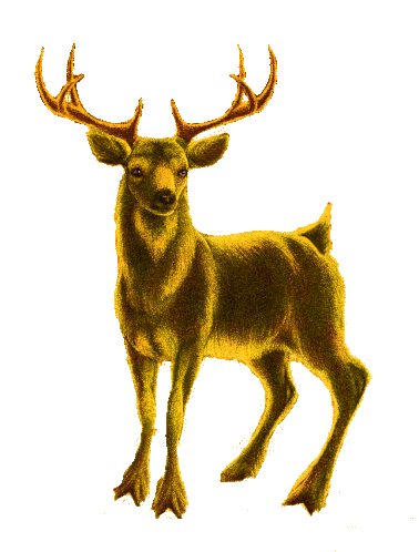 Boldog Karácsonyt Deer Sticker - Boldog Karácsonyt Deer Elk Stickers
