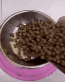 Cereal Dog GIF - Cereal Dog GIFs