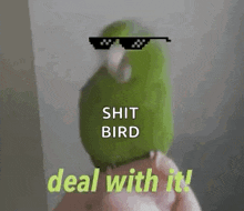 Delwithit Cool GIF - Delwithit Cool Bird GIFs