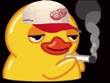 Red Wings Detroit GIF - Red Wings Detroit Duck Meme GIFs