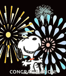 snoopy is holding a sign that says `` congratulations ! '' with fireworks in the background .